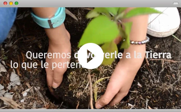 Responsabilidad Social Empresarial Red de Árboles